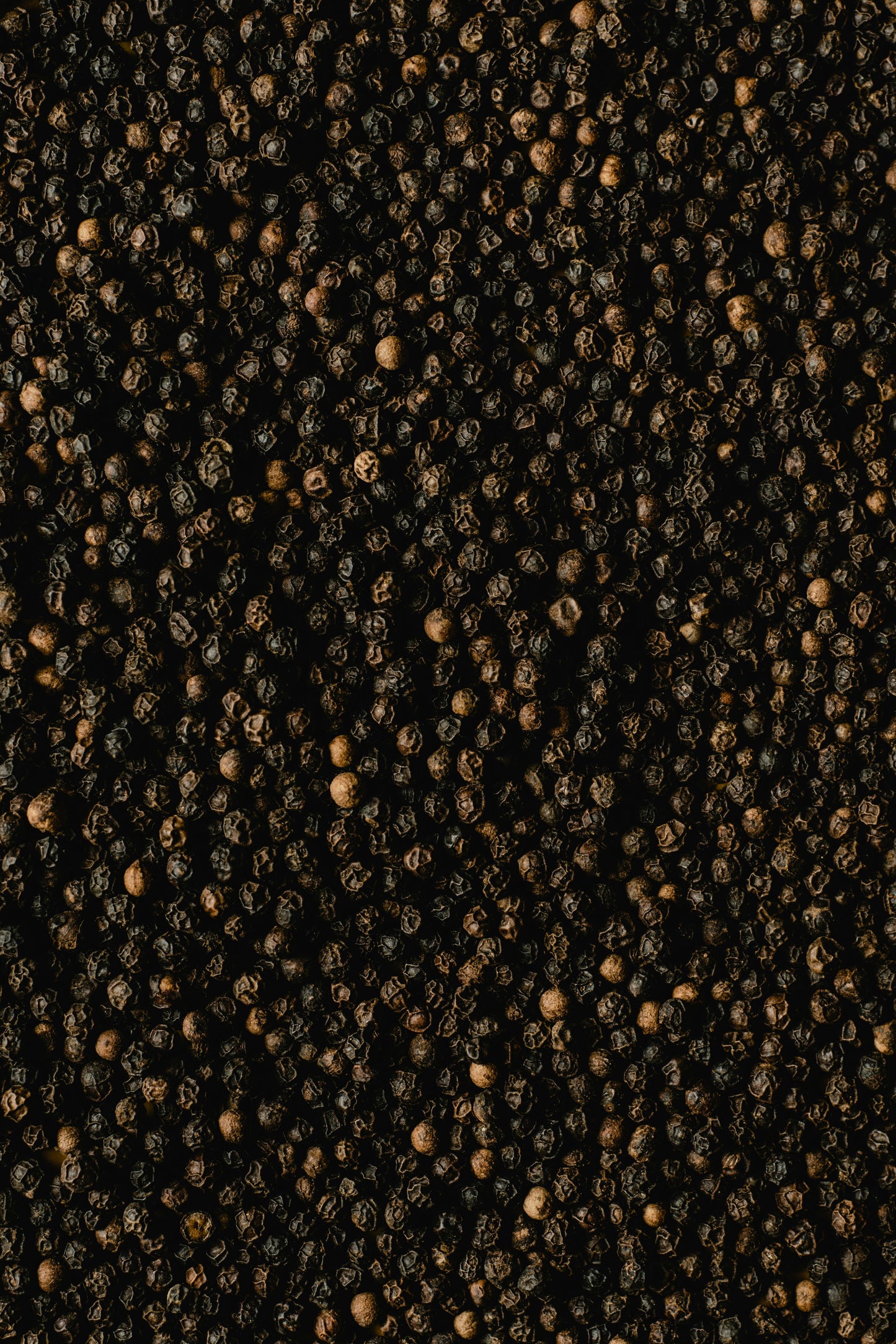 Black Pepper